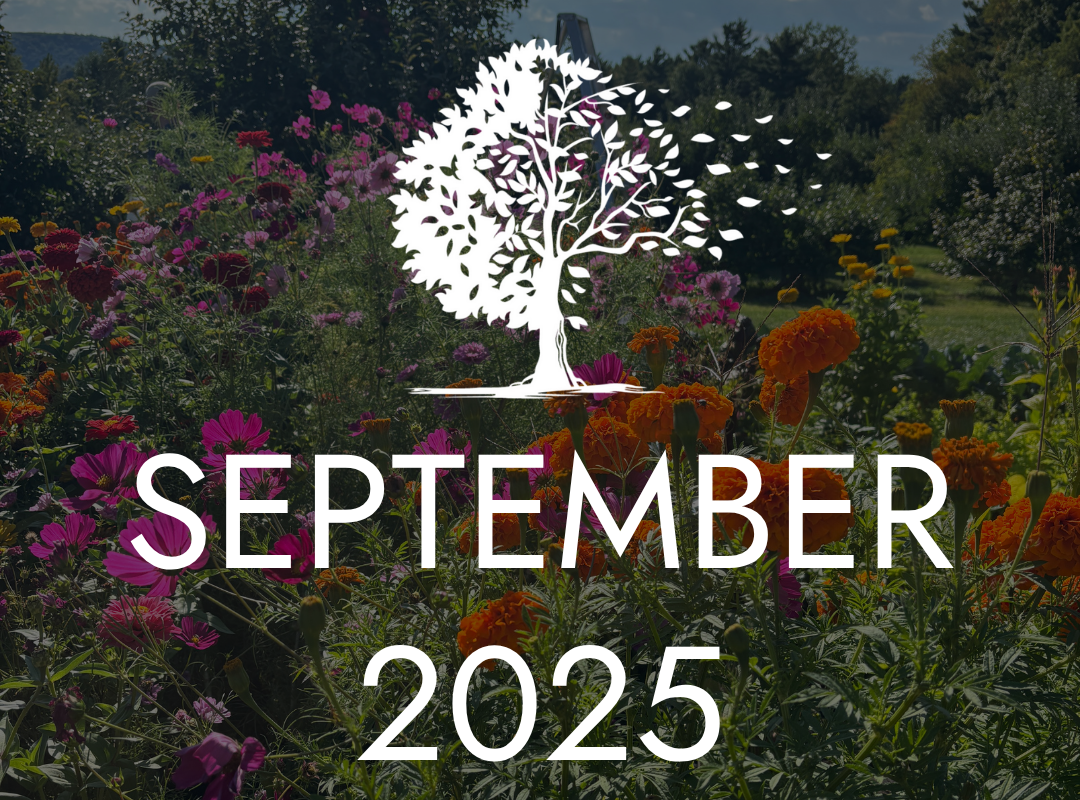 September 2025 Newsletter