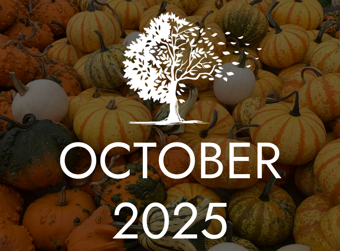 October 2025 Newsletter