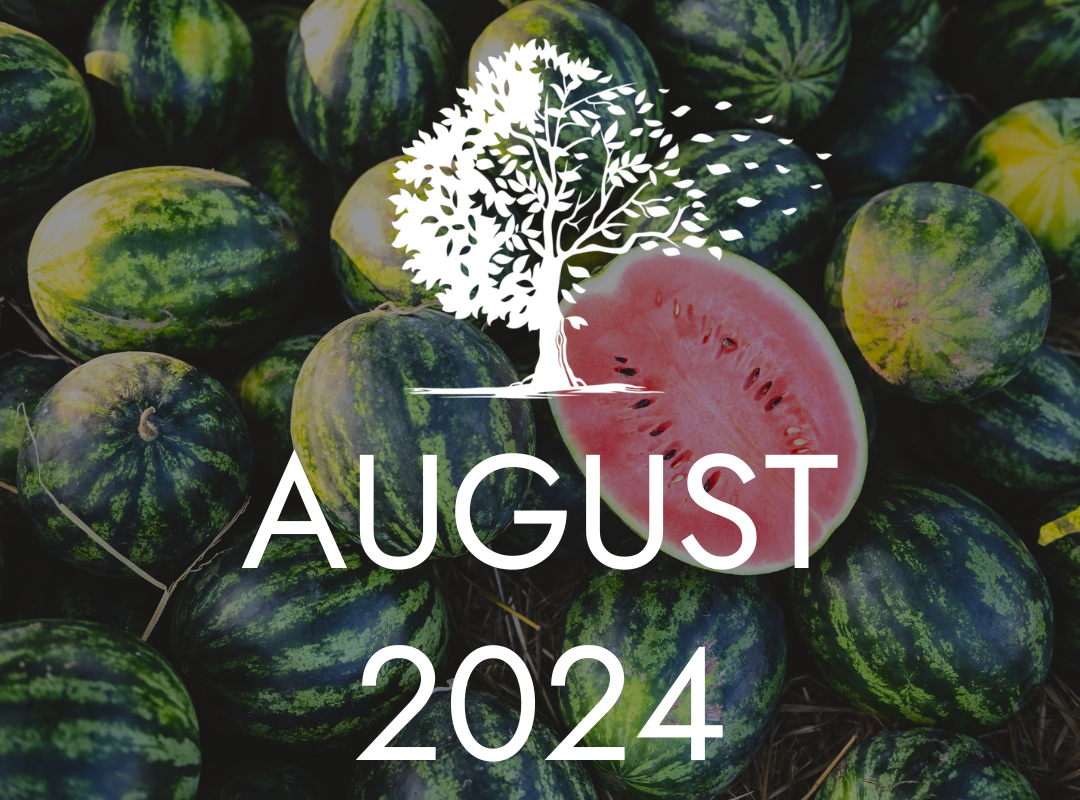 August 2024