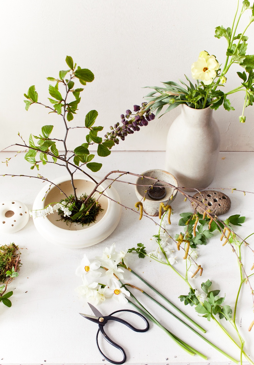 Bloomist plants on table