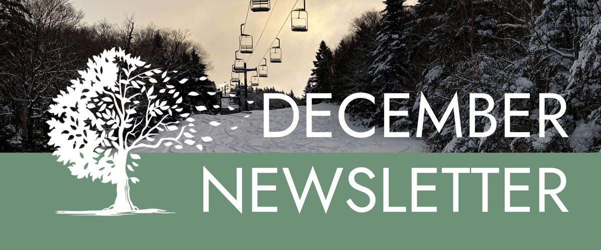 December Newsletter (2)