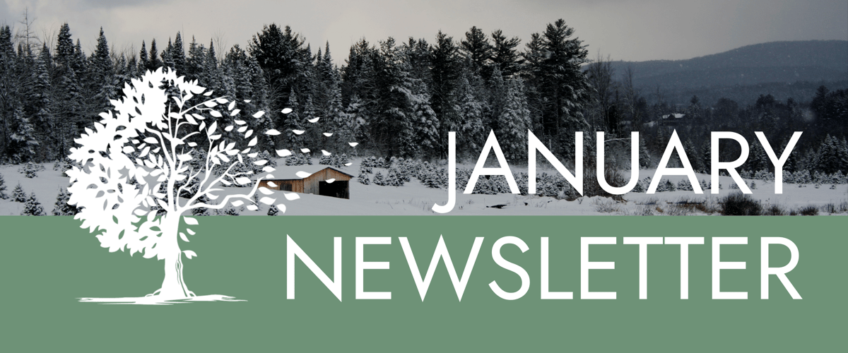 January Newsletter