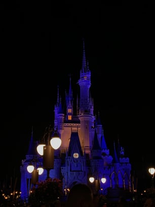 IMG_0345