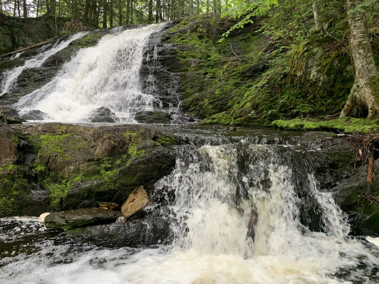 Waterfall cascading down mossy rocks
