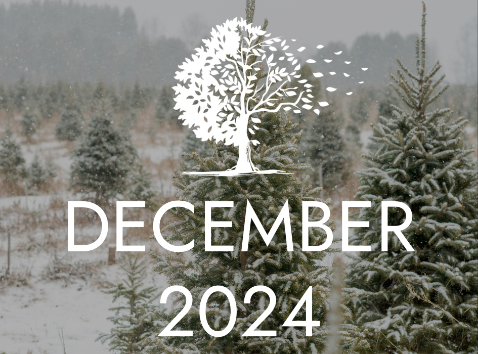 December 2024