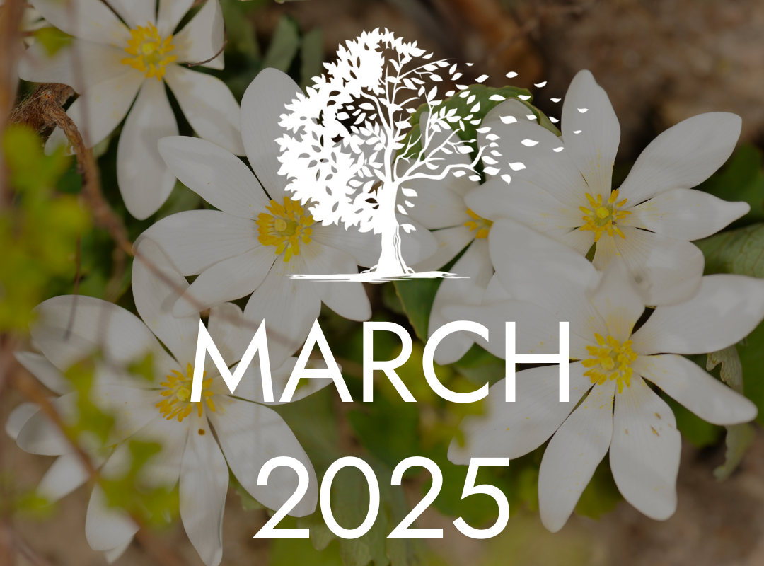 March 2025