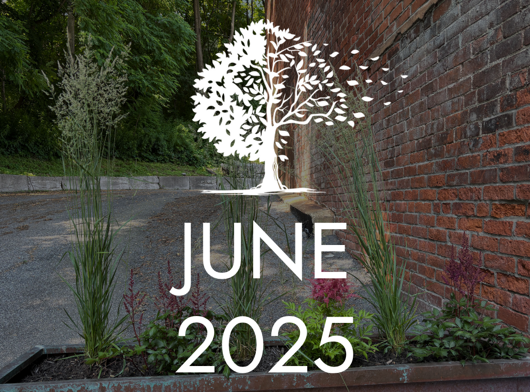 June 2025 Newsletter