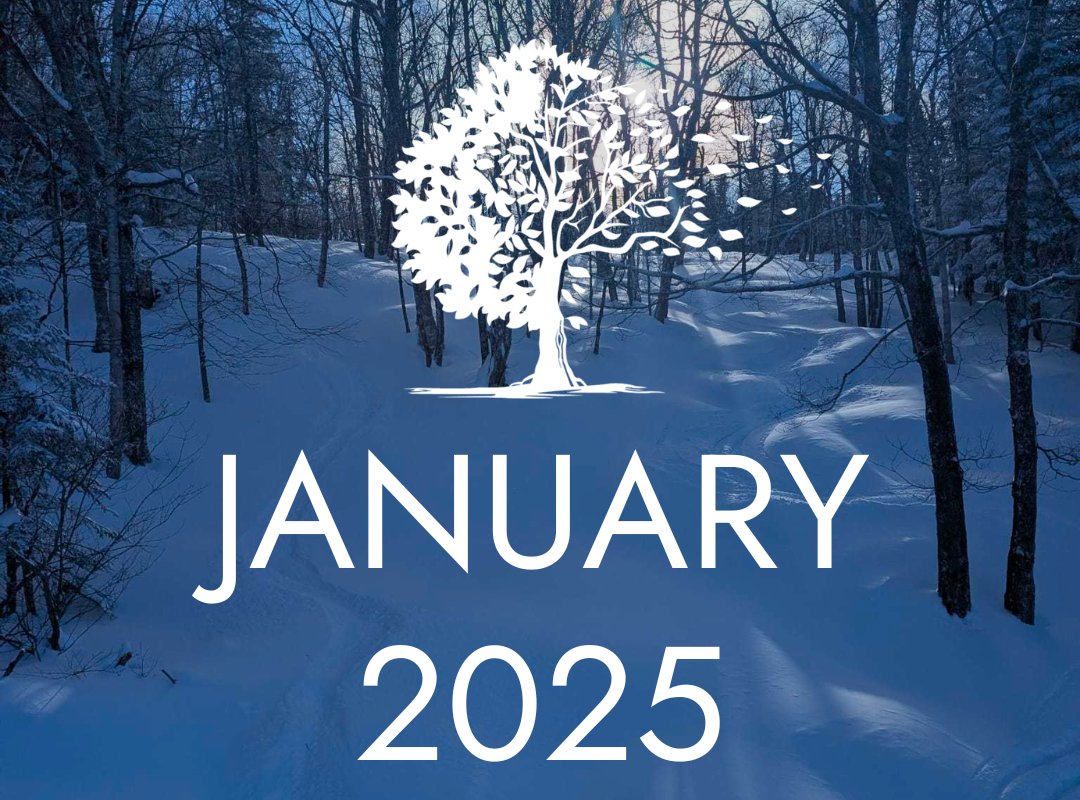 January 2025