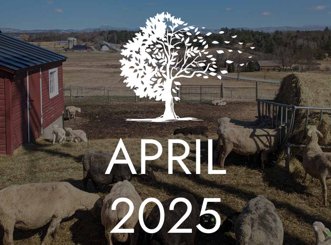 April 2025 Newsletter