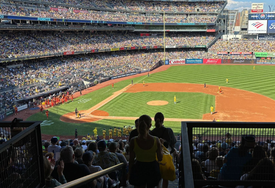Fans observing a Savannah Bananas game in New York