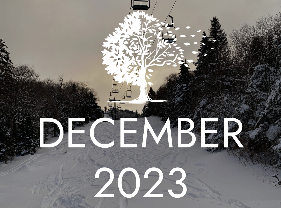 December 2023