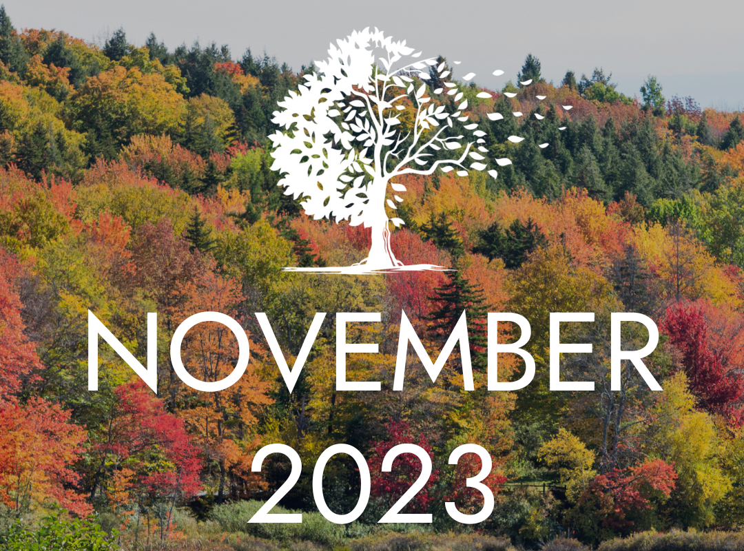 November 2023