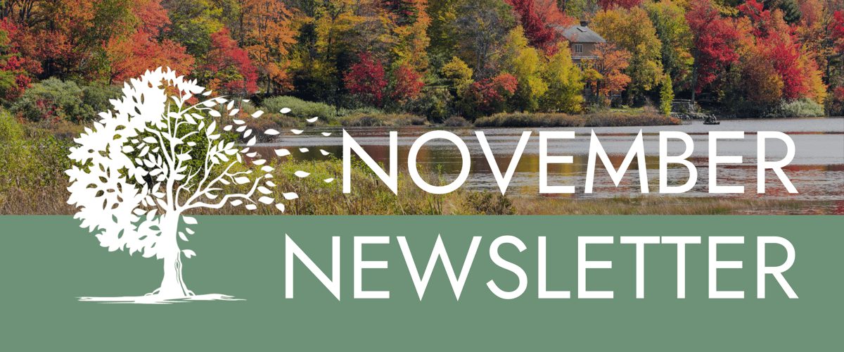 November Newsletter