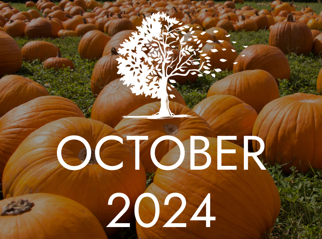 October 2024
