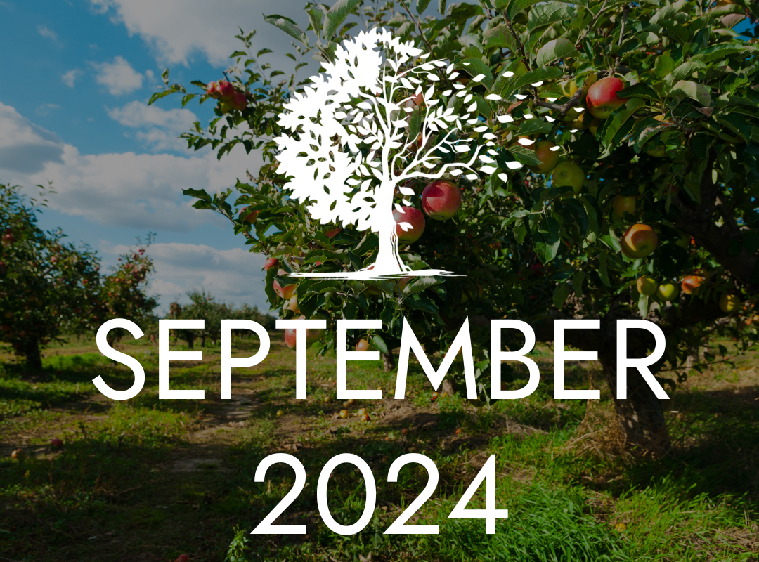 September 2024