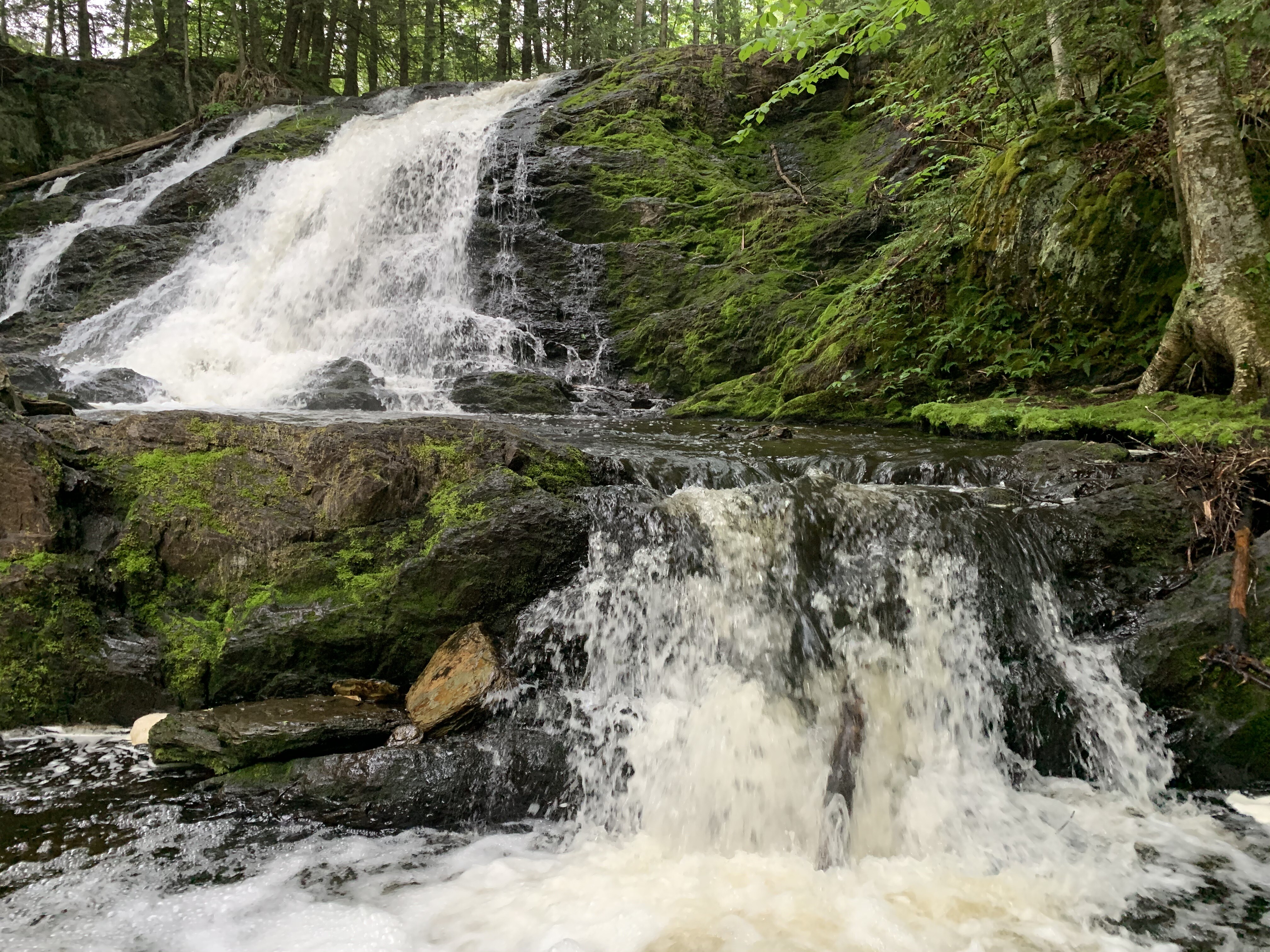 Waterfall cascading down mossy rocks