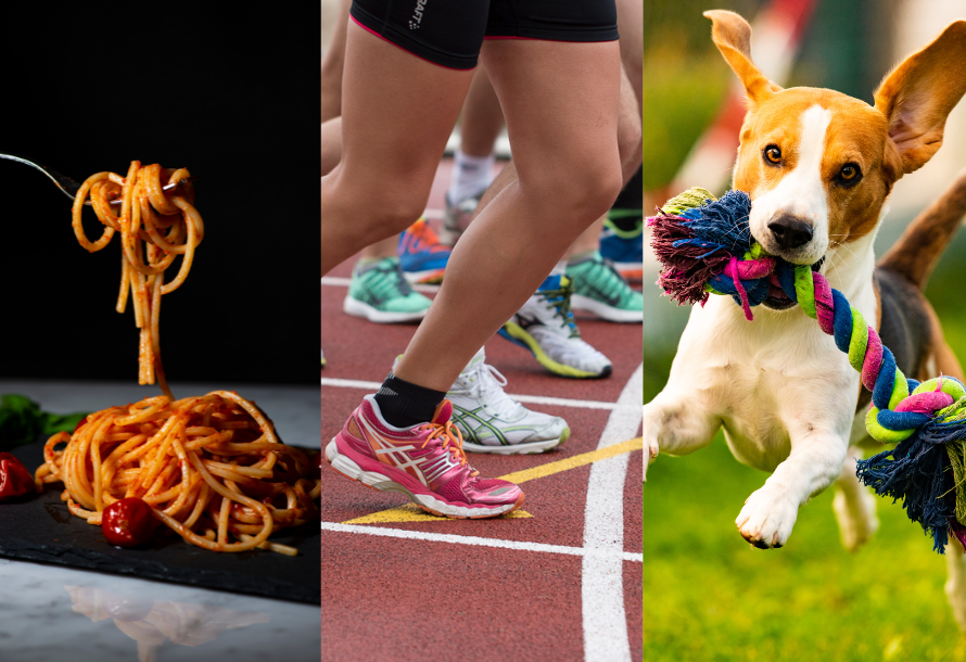 A collage of images: a plate of spaghetti, a group of runners about to start a race, and a dog playing with a rope chew toy.